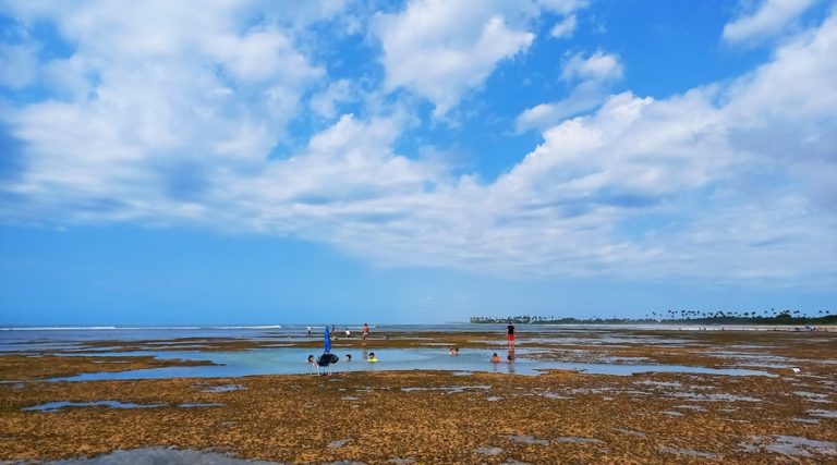Piscina-natural-Itacimirim-Bahia